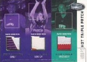 2002-03 Hoops Hot Prospects Triple Patch #11 Dan Dickau with Stoudamire / Gooden /75 (GU NUM missing!)